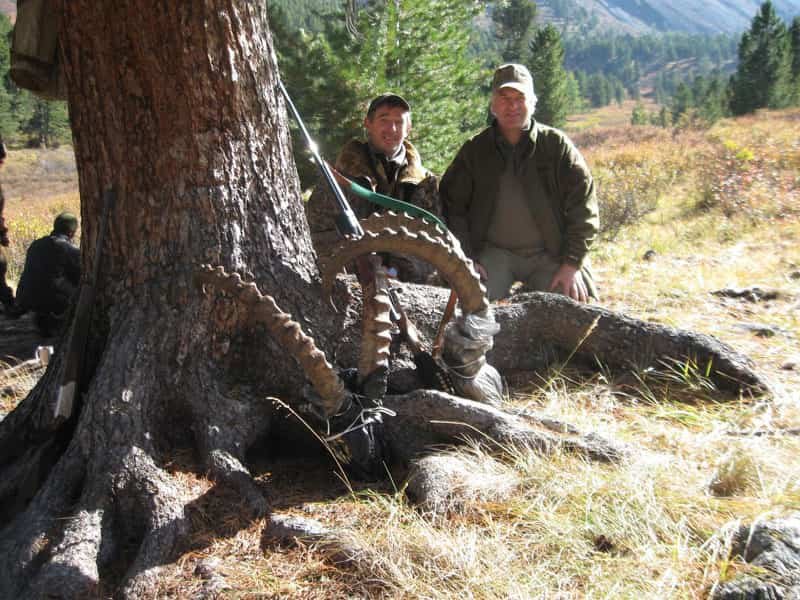 Ibex Altai 23