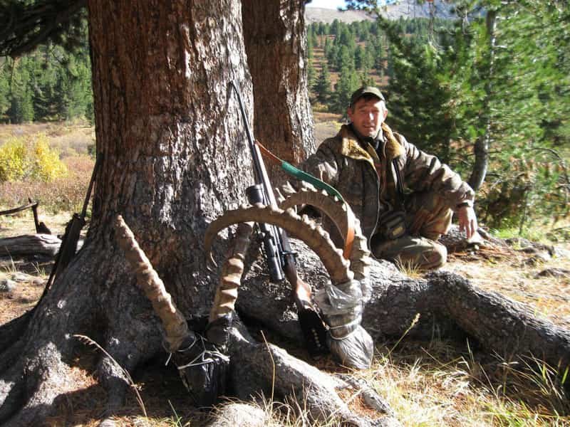 Ibex Altai 25