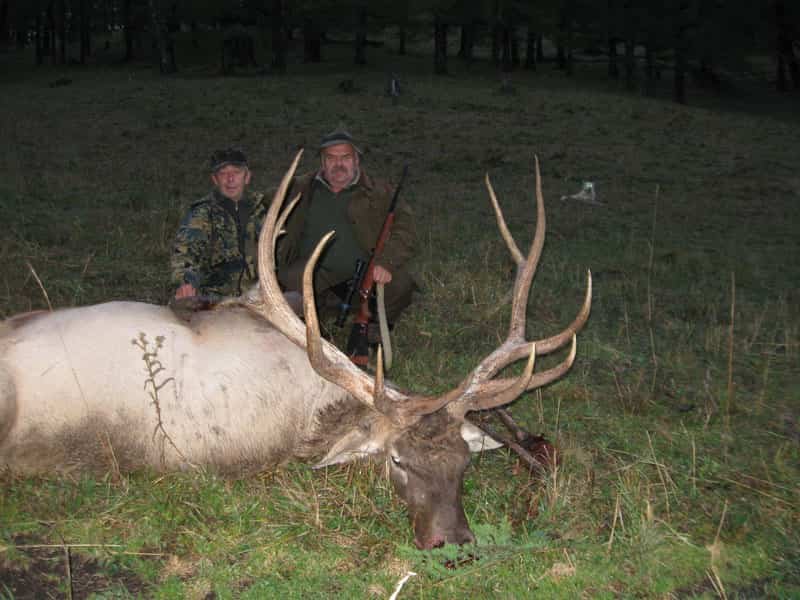 Maral Altai 15 6