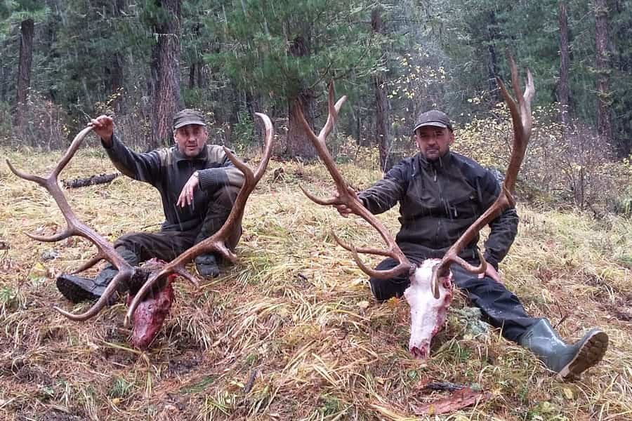 Maral Altai 2017 1