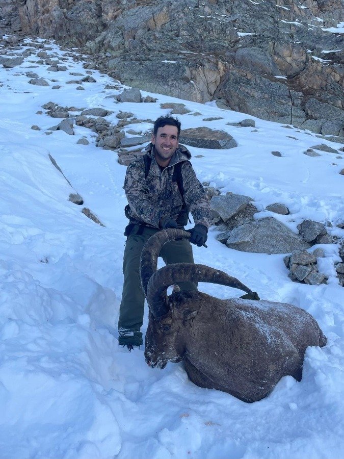 Capra caucasica en su hábitat natural — alta montaña del Cáucaso Occidental, Karacháyevo-Cherkesia
