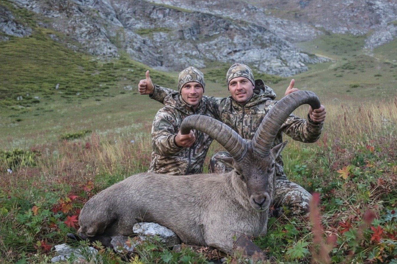 Trofeo Capra World Slam SCI — Kuban Tur (Capra caucasica) cazado en Karacháyevo-Cherkesia con Real Hunt Me