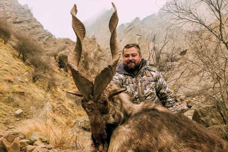 BUKHARA MARKHOR (CAPRA FALCONERI HEPTNERI) INCLUDING UZBEK MARKHOR