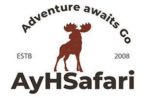 ayhsafari.com tr