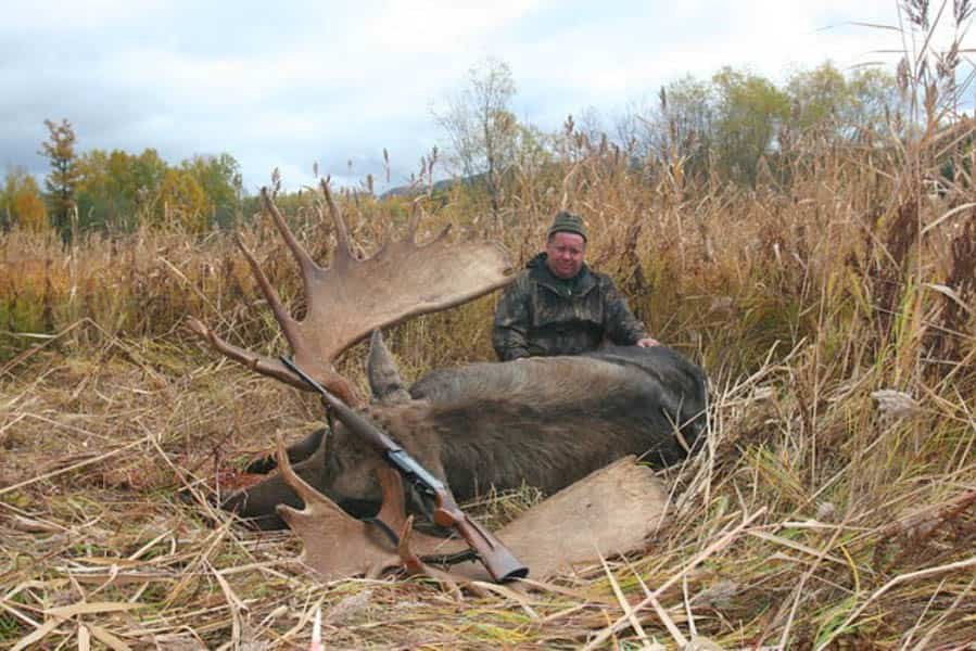 Chukotka Moose ayhsafari.com