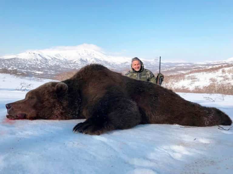 Kamchatka Brown Bear