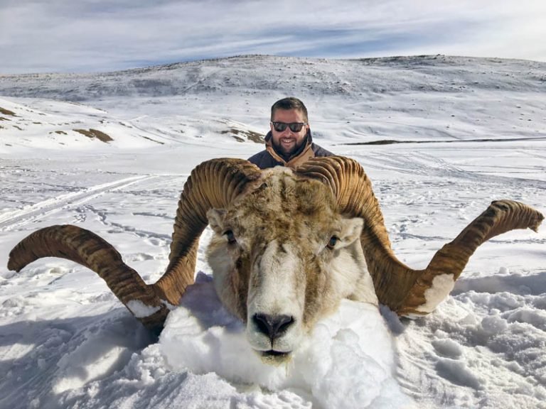 Marco Polo Sheep Hunting in Kyrgyzstan
