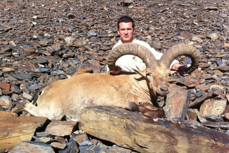 Dagestan Tur Hunting