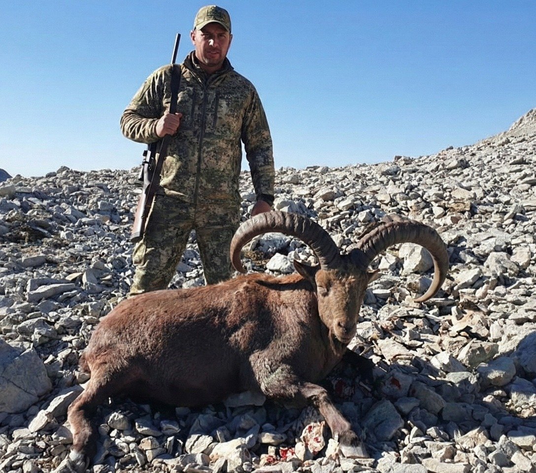 Trofeo Eastern Caucasian Tur (Capra cylindricornis) cazado en Daguestán, Rusia — Capra World Slam SCI